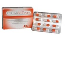 ECCARVIT PLUS 12CPS*** ECCARVIT PLUS 12CPS***
