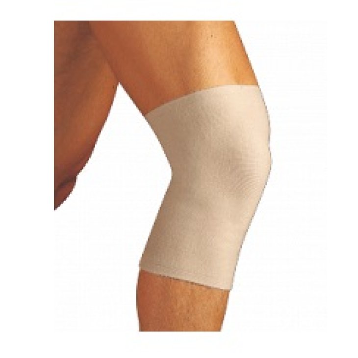 GIBAUD GINOCCH.*BIEST FELP 1