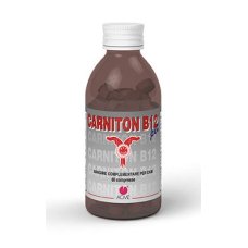 CARNITON B12 PET*80 CPR 1 G