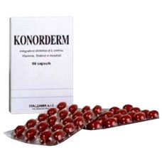 KONORDERM*INTEG DIET 60 CPS KONORDERM*INTEG DIET 60 CPS
