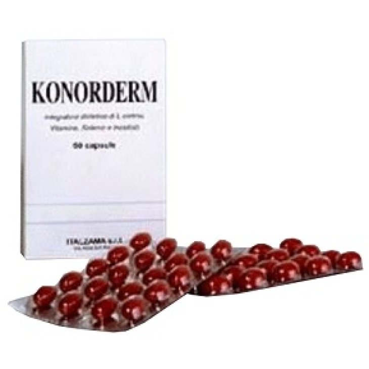 KONORDERM*INTEG DIET 60 CPS KONORDERM*INTEG DIET 60 CPS