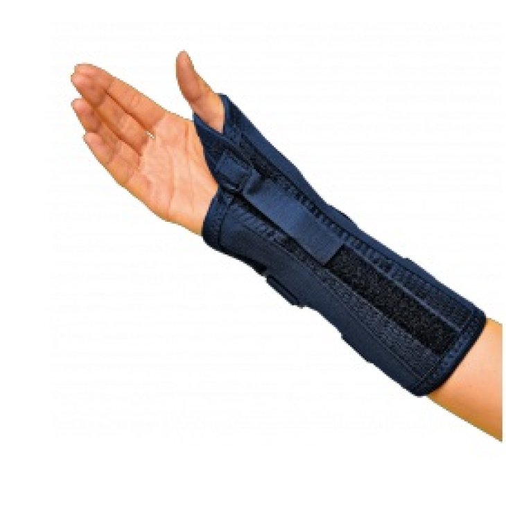 Gibaud Ortho Pols/poll Ort Dx2