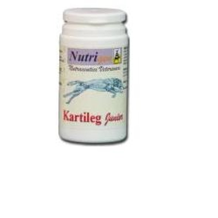 KARTILEG J 30TAV KARTILEG J 30TAV