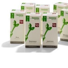 RIBES NE 100ML MG FITOMEDICAL RIBES NE 100ML MG FITOMEDICAL