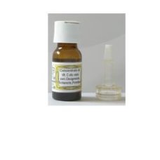 SIDEA C INTEGRALE VIT C 10ML SIDEA C INTEGRALE VIT C 10ML