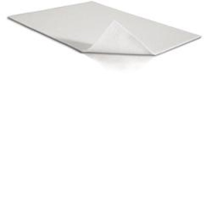 MEPILEX TRANSFER MED10X12CM 5P MEPILEX TRANSFER MED10X12CM 5P