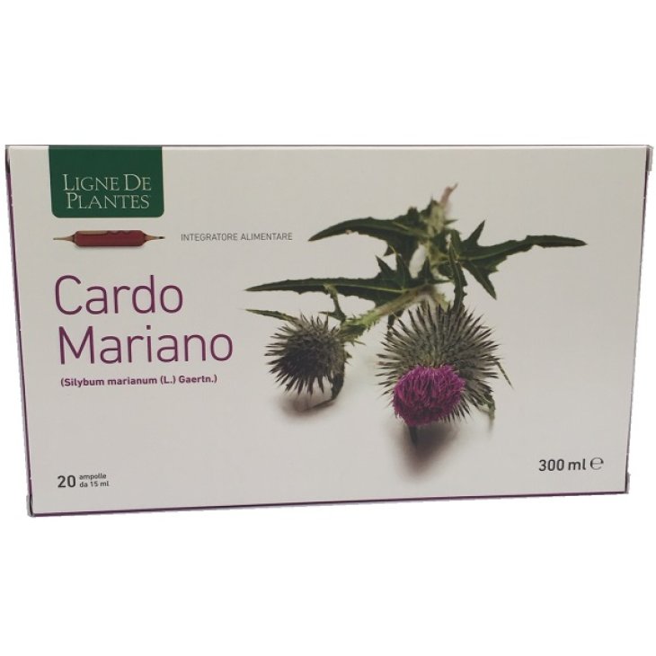 CARDO MARIANO 20AB 15ML CARDO MARIANO 20AB 15ML