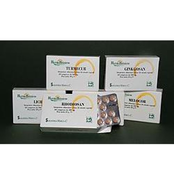 GINKGOSAN 60CPR 400MG GINKGOSAN 60CPR 400MG