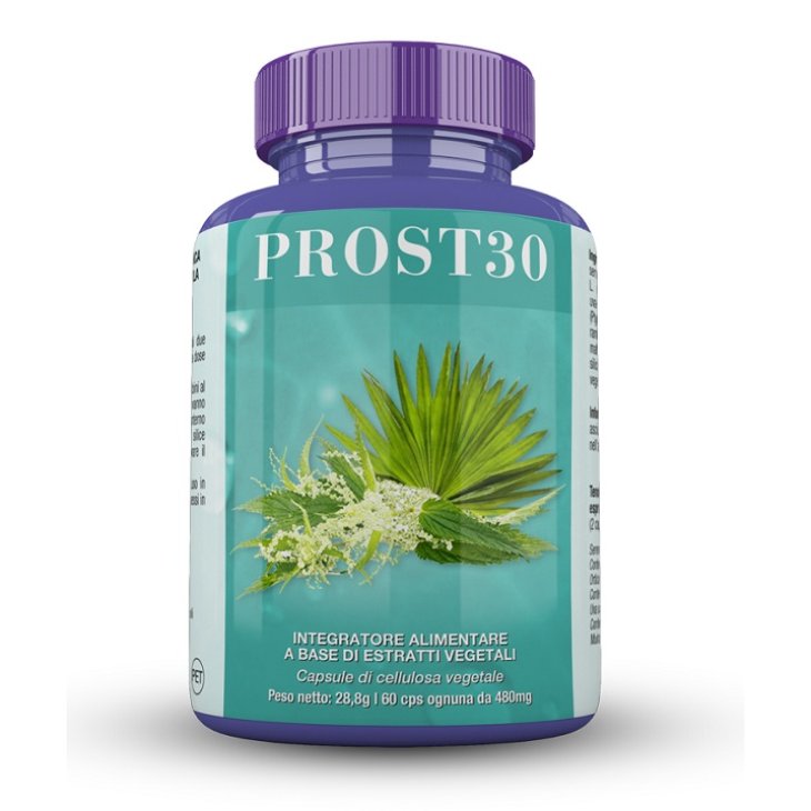 PROST 30 60 CPS 28,8 G BS PROST 30 60 CPS 28,8 G BS