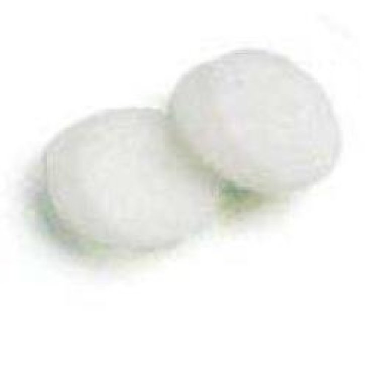 Filtro Aria Aerosol 2pz Filtro Aria Aerosol 2pz