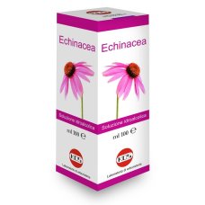 ECHINACEA SOL IAL PIANTA FR100