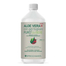 SUCCO ALOEVERA+ ALOE/MIRT R1LT SUCCO ALOEVERA+ ALOE/MIRT R1LT
