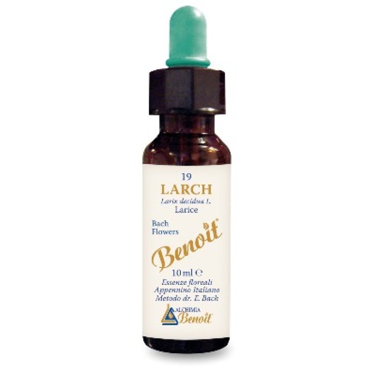 BENOIT FIORI DI BACH LARCH