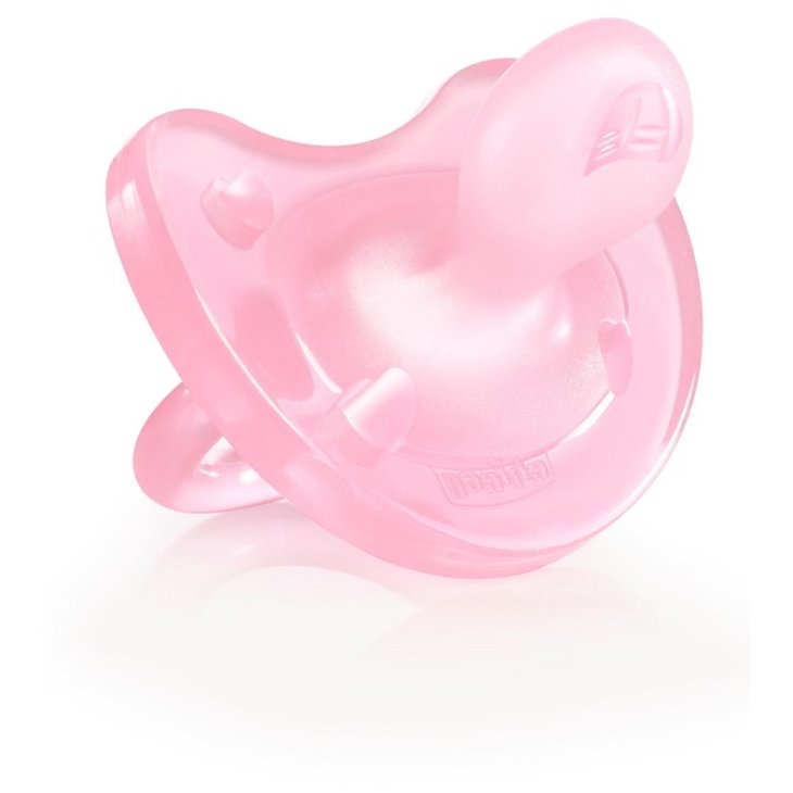 Ch Gommotto Sil Bimba 16-36 1p