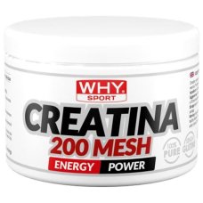 WHYSPORT CREATINA 200 MESH200G WHYSPORT CREATINA 200 MESH200G