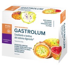 GASTROLUM 14STICKPACK 10ML GASTROLUM 14STICKPACK 10ML