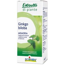 GINKGO BILOBA EI 60ML