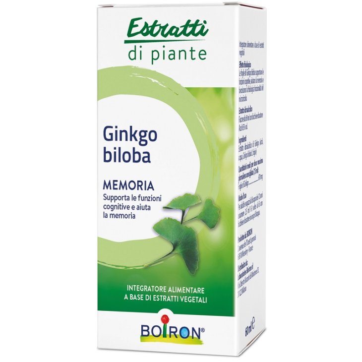 GINKGO BILOBA EI 60ML