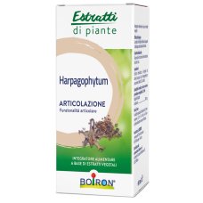 HARPAGOPHYTUM EI 60ML INT