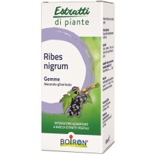 RIBES NIGRUM MG 60ML INT RIBES NIGRUM MG 60ML INT