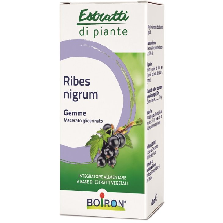 RIBES NIGRUM MG 60ML INT RIBES NIGRUM MG 60ML INT