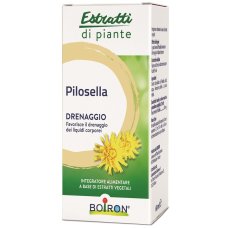 PILOSELLA INT GTT 60ML PILOSELLA INT GTT 60ML