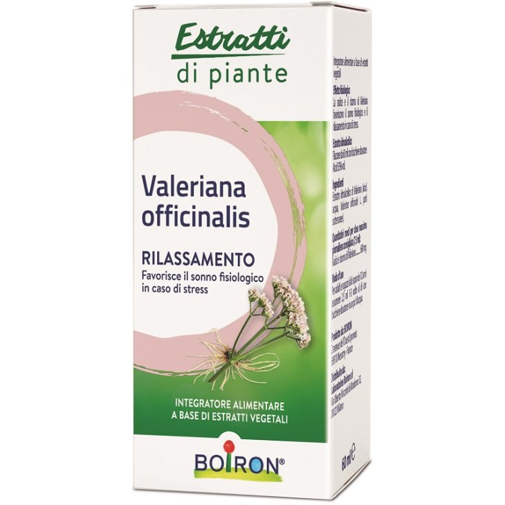 VALERIANA OFF EI 60ML INT VALERIANA OFF EI 60ML INT