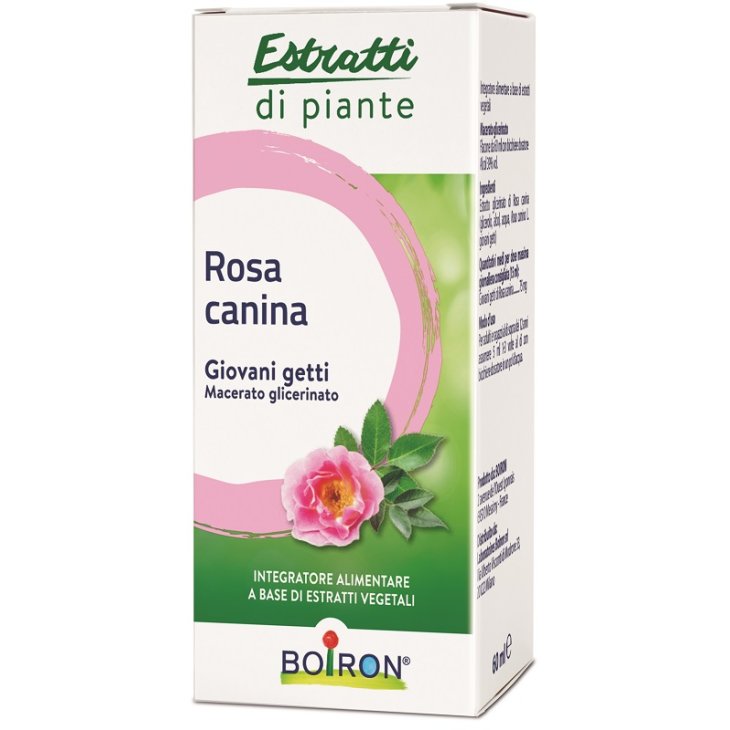 ROSA CANINA MG INT GTT 60ML ROSA CANINA MG INT GTT 60ML