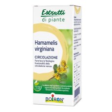 HAMAMELIS VIR EI 60ML INT