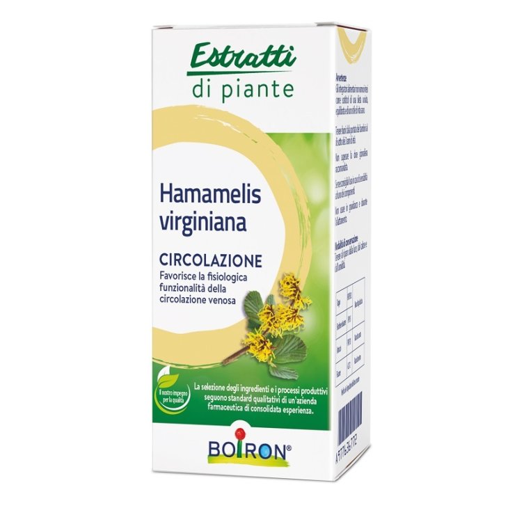 HAMAMELIS VIR EI 60ML INT