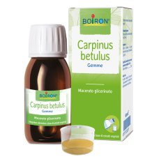 CARPINUS BETULUS MG 60ML INT CARPINUS BETULUS MG 60ML INT