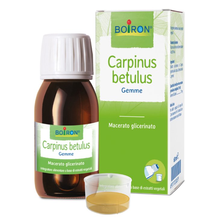 CARPINUS BETULUS MG 60ML INT CARPINUS BETULUS MG 60ML INT