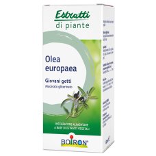OLEA EUROPAEA MG 60ML INT
