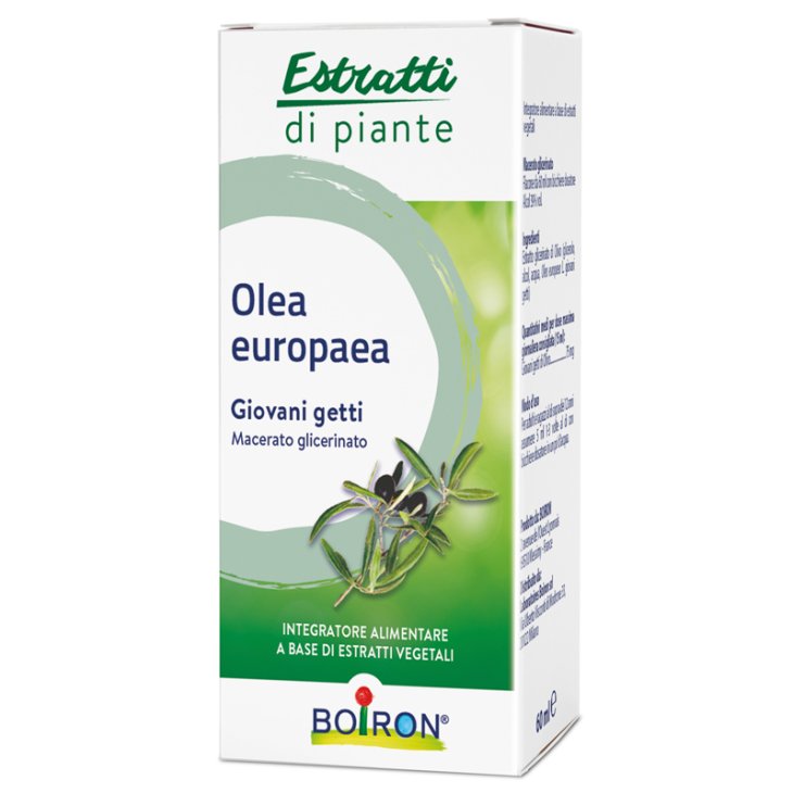 OLEA EUROPAEA MG 60ML INT OLEA EUROPAEA MG 60ML INT