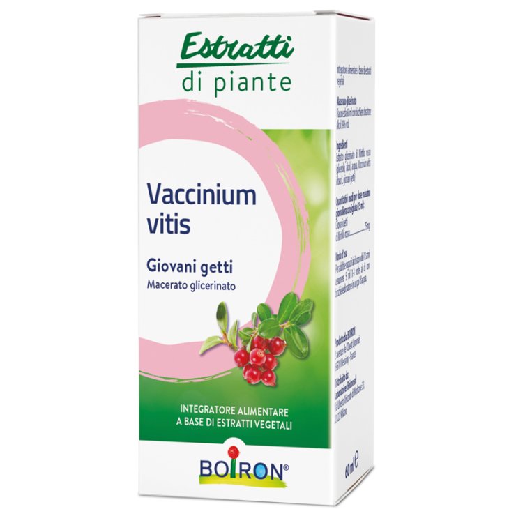 VACCINIUM VITIS MG 60ML INT VACCINIUM VITIS MG 60ML INT