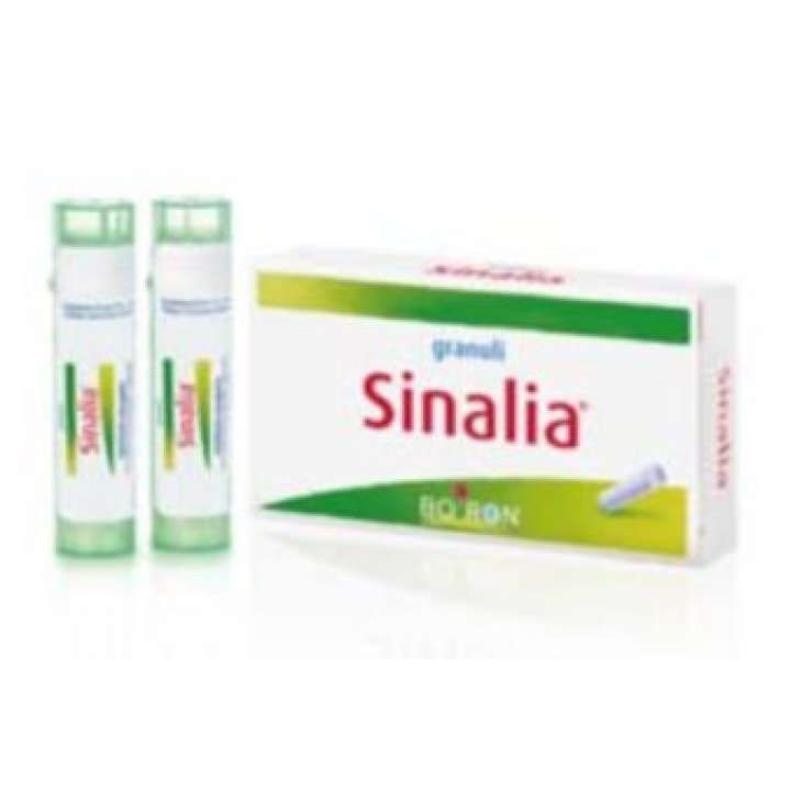 SINALIA 2TUBI GRAN 160G BOIRON SINALIA 2TUBI GRAN 160G BOIRON