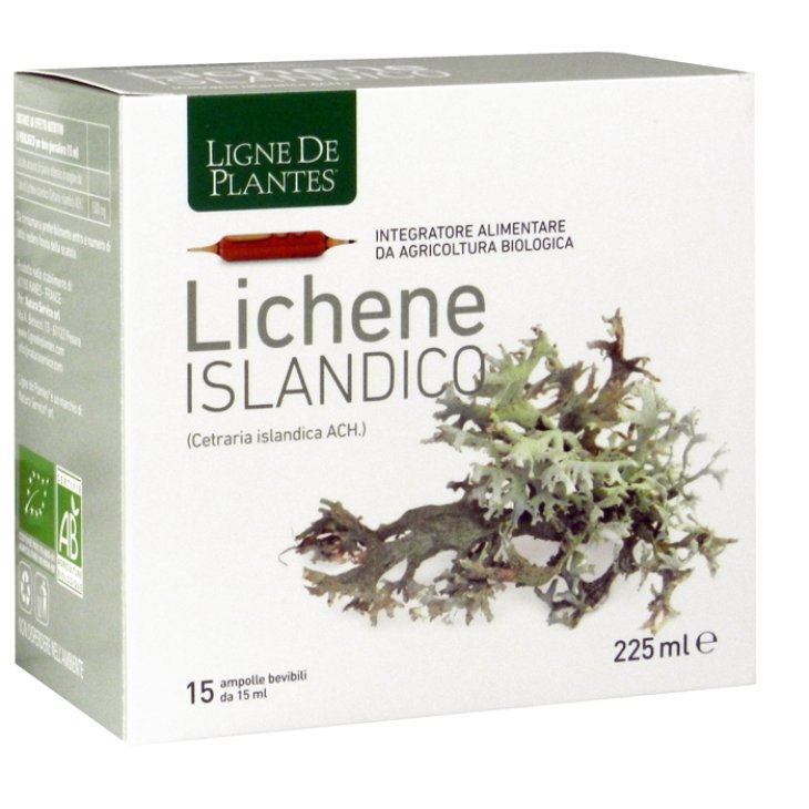 LICHENE ISLANDICO 15AMPX15ML LICHENE ISLANDICO 15AMPX15ML