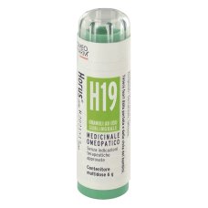 HORUS 19 GR HORUS 19 GR