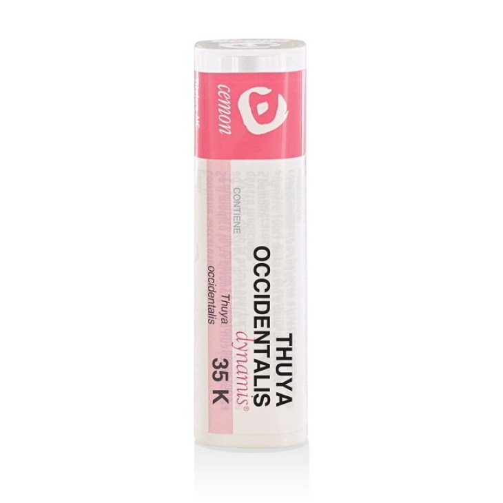 THUYA OCCIDENT 35K GR THUYA OCCIDENT 35K GR