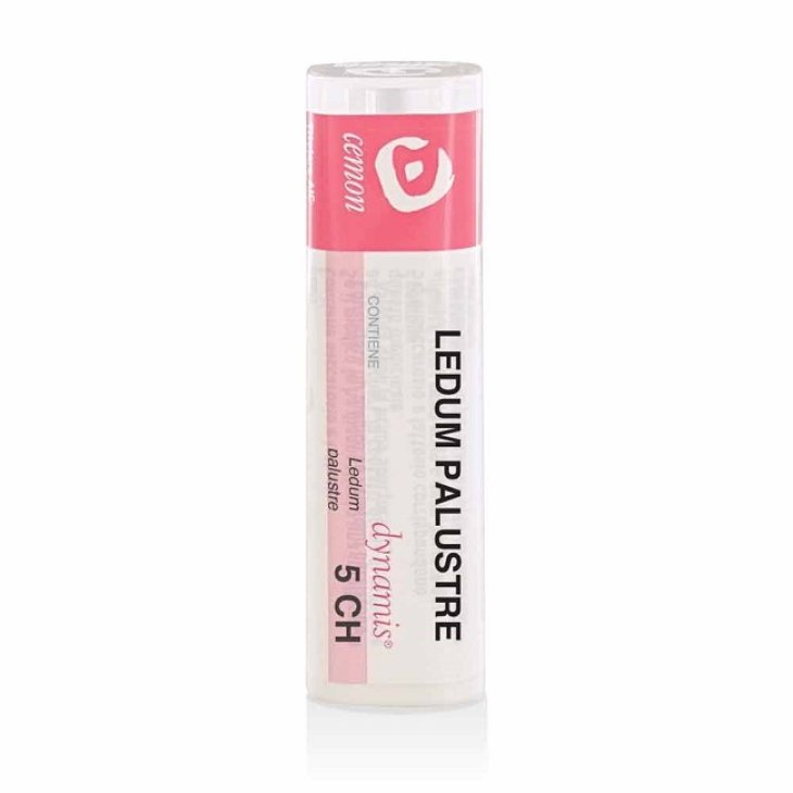 LEDUM PALUSTRE 5CH GR LEDUM PALUSTRE 5CH GR
