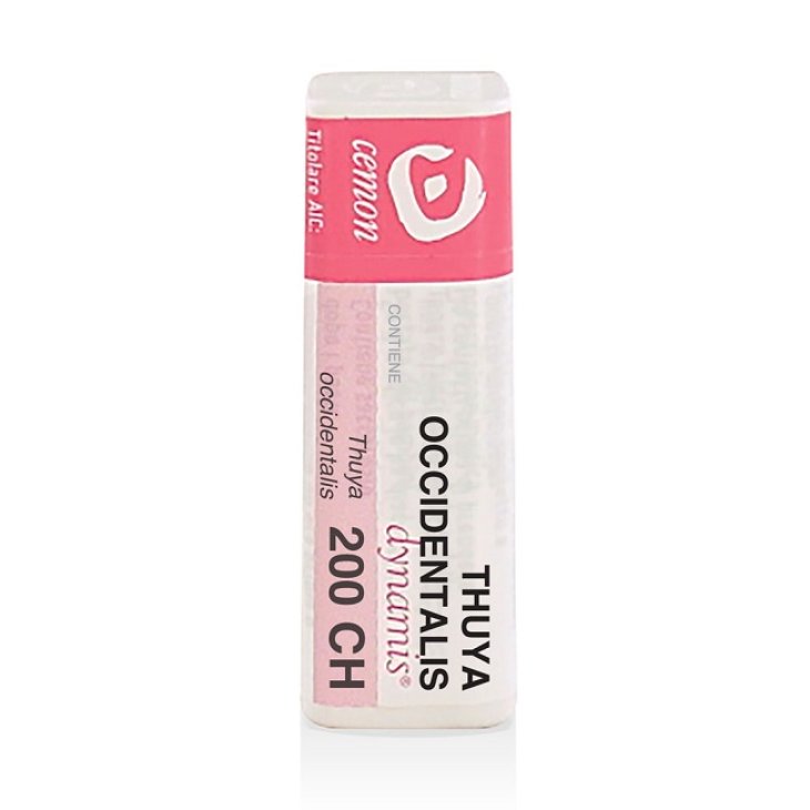 THUYA OCCIDENT 200CH GL THUYA OCCIDENT 200CH GL