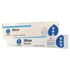 SILICEA HOMEOPHARM UNG 40G SILICEA HOMEOPHARM UNG 40G