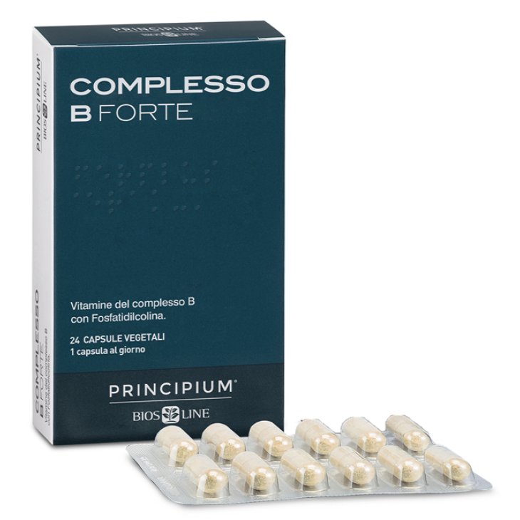 Principium Complesso B Ft24cps