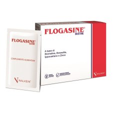 Flogasine 20bust