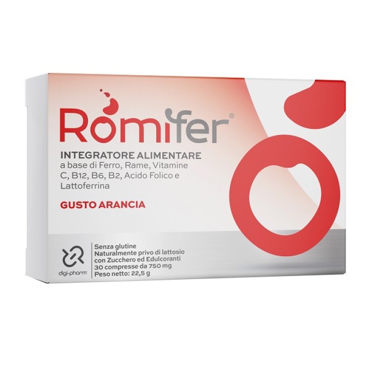 ROMIFER 30CPR MASTIC