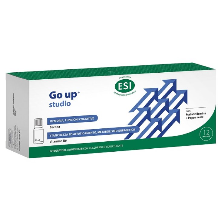 ESI ENERGY LINE STUDIO 12MINI