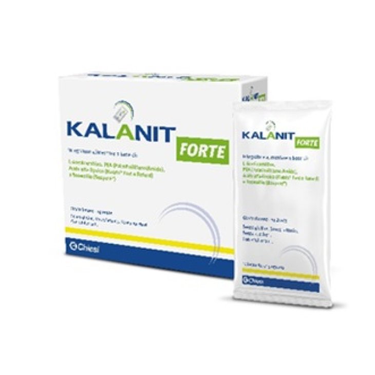 Kalanit Forte 14bust Kalanit Forte 14bust