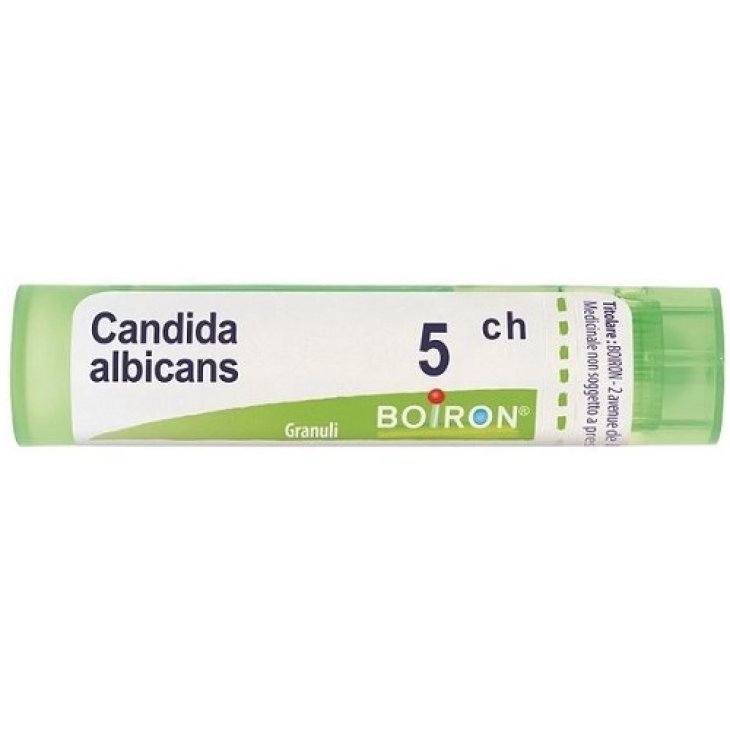 CANDIDA ALBICANS 5CH GR CANDIDA ALBICANS 5CH GR