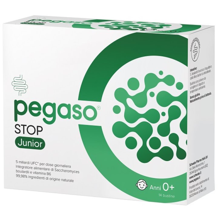 PEGASO STOP JUNIOR 14BUST PEGASO STOP JUNIOR 14BUST
