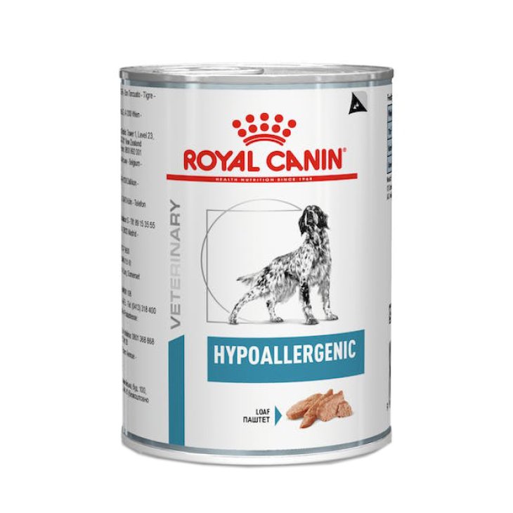 HYPOALLERGENIC CANE UMIDO 200